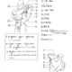 Imagen para el artículo titulado Guía de referencia anatómica humana de Capcom para que sus artistas den vida a los personajes